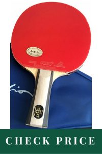 Best Table Tennis Rackets 2020