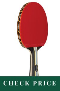 Best Ping Pong Paddle For Beginners 