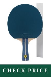 Best Table Tennis Racket For Professionals 