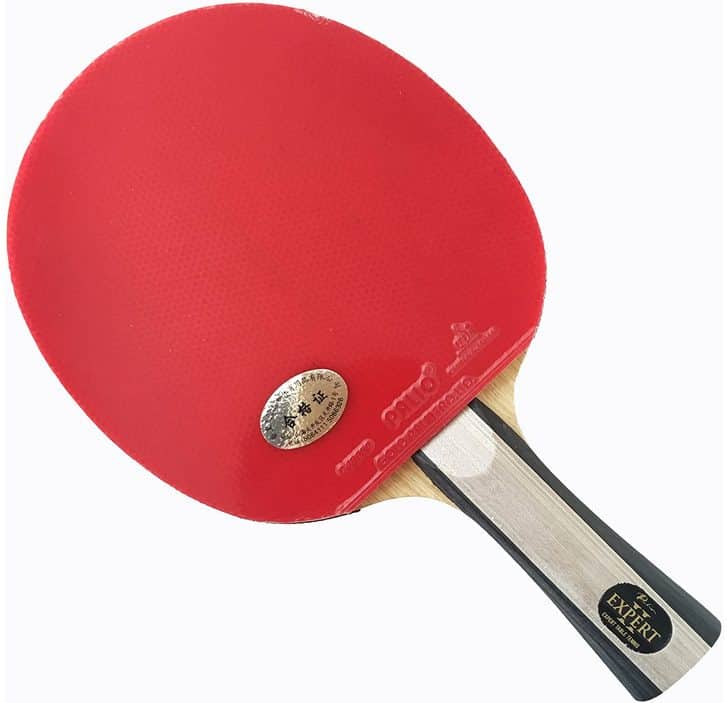 Top 5 Best Table Tennis Bat For Spin 2022 Expert Reviews