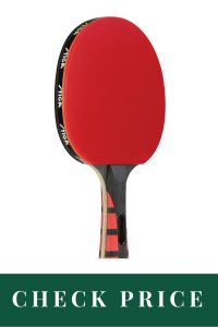 Best Table Tennis Paddle For Professionals STIGA Evolution Performance