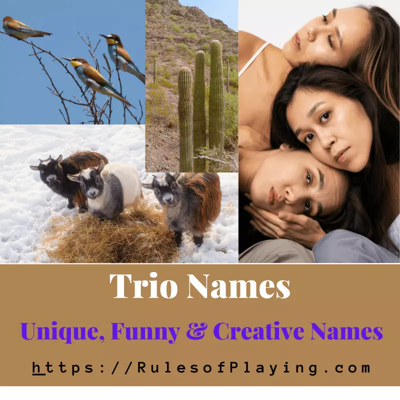 Trio Names | Funny, creative, powerful trio names for pets, cats & dogs, boys & girs