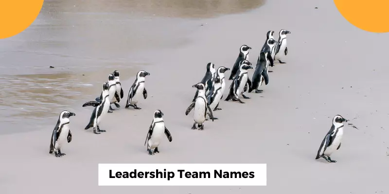 Leadership Team Names