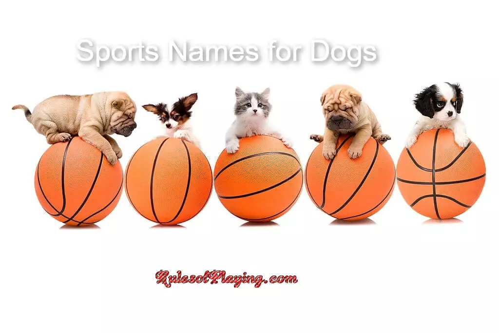 Sports Name For Dogs