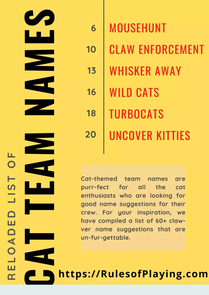 Cat Team Names